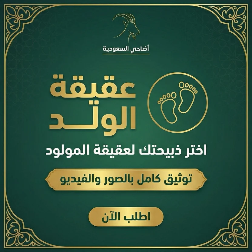 عقيقة ولد