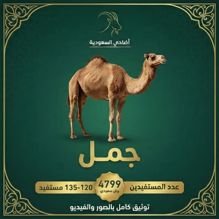 جمل